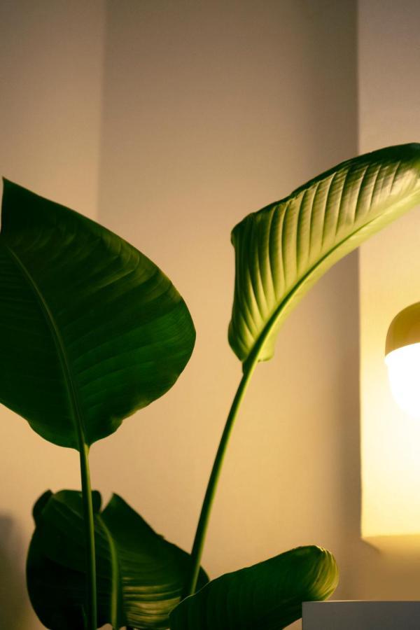 #9 3Mins To Station 1Stop To Shinjuku Stylish Apartment With Plenty Of Sunlight Präfektur Tokio Exterior foto